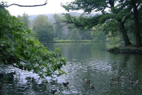 Ferienwohnung Und Pension Guertler Mohlsdorf エクステリア 写真